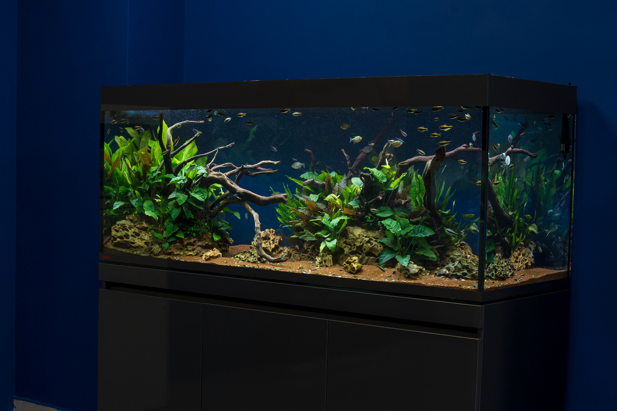 Showroom Juwelakvarium Vysoké Mýto - fotografie 3