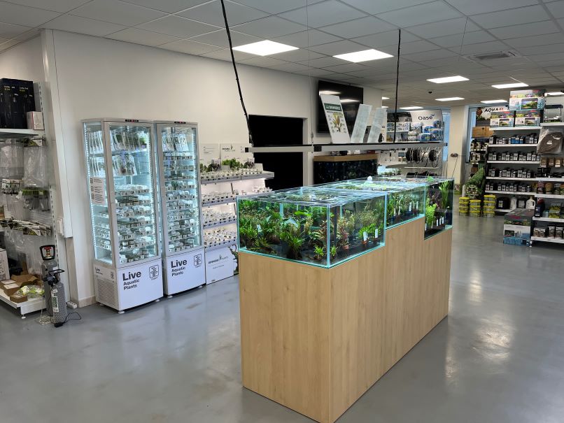 Prodejna Juwelakvarium Vysoké Mýto - fotografie 4