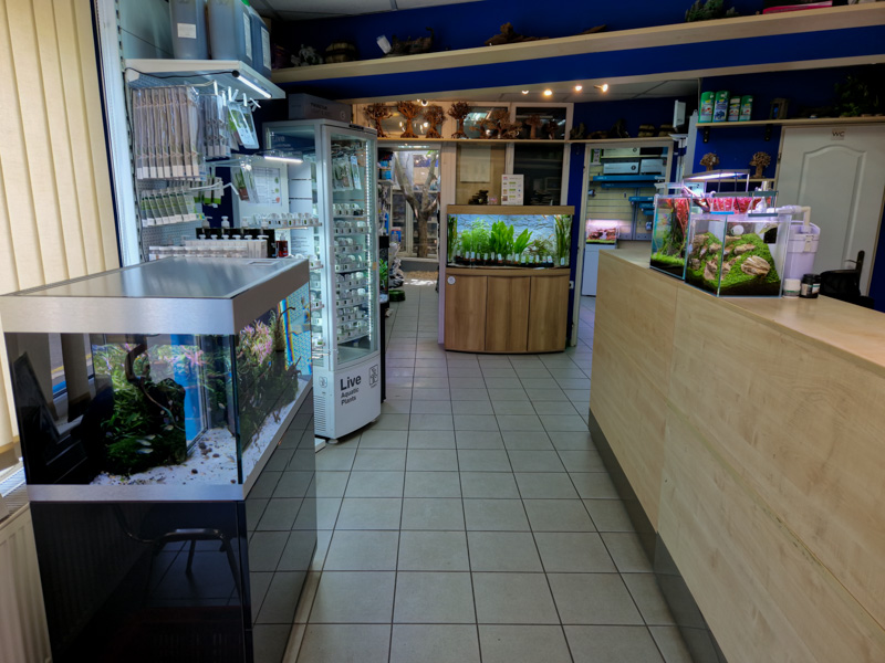 Prodejna Juwelakvarium Praha - fotografie 2