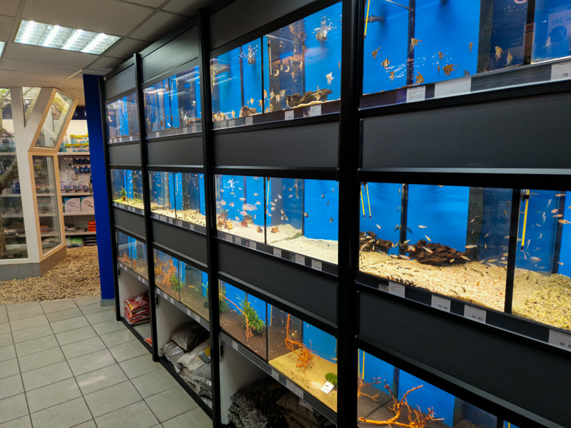 Prodejna Juwelakvarium Praha - fotografie 5