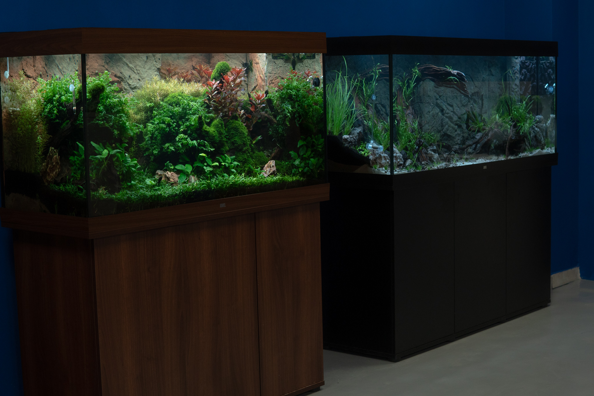 Showroom Juwelakvarium Vysoké Mýto - fotografie 1