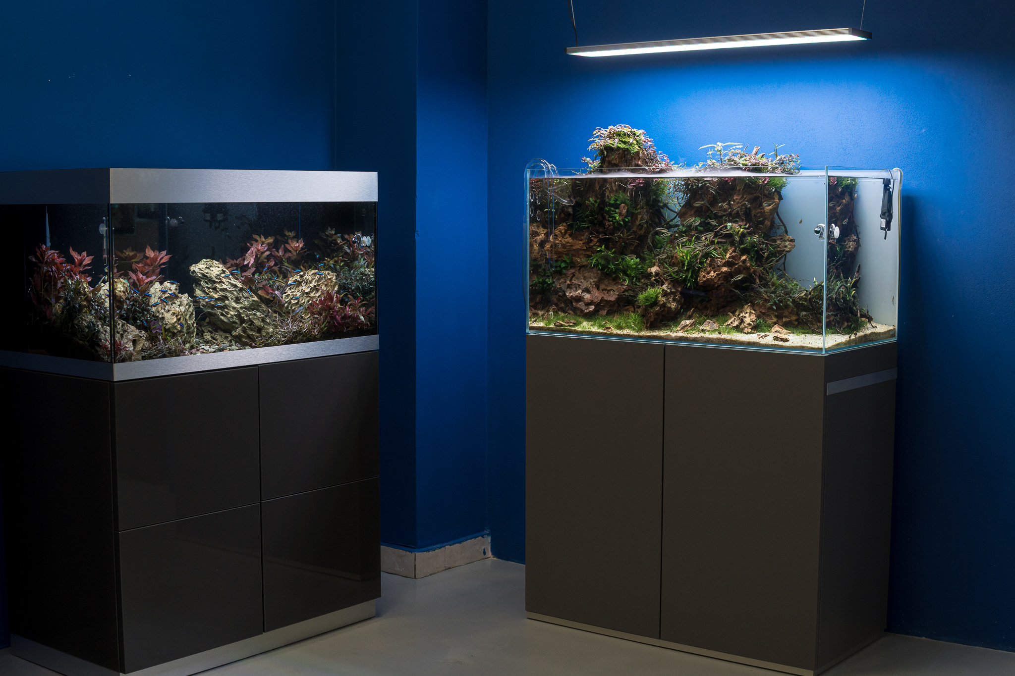 Showroom Juwelakvarium Vysoké Mýto - fotografie 2