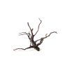 Kořen Black Root S 25-30 cm