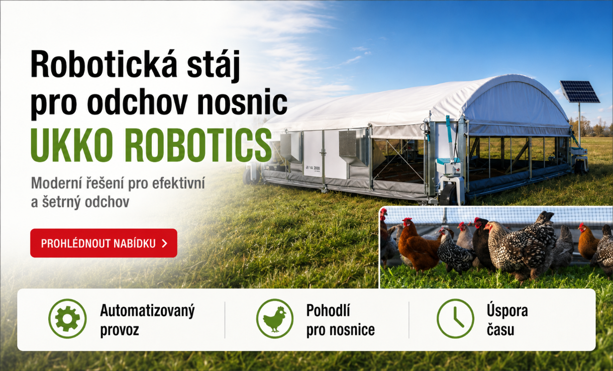 Robotické stáje pro odchov nosnic