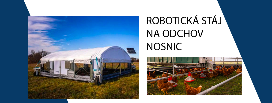 Robotické stáje pro odchov nosnic