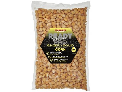 Starbaits Kukuřice Ready Seeds Pro Ginger Squid 1kg