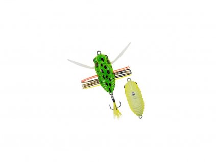 1492 koshinmushi frogster fly ccc3265