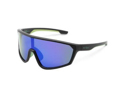 delphin polarizacni bryle view