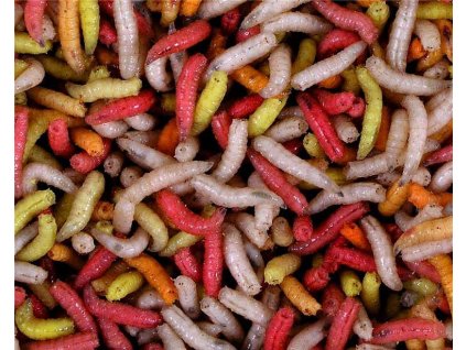 Larva barevná ( krabička 1dcl )