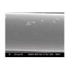 P-Line vlasec Floroclear 1000 m