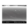 P-Line vlasec Floroclear 1000 m