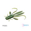 Nymfa Delphin MANYA UVs / 5ks