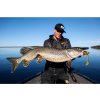 4534 1 haeadbanger bangershad spotted bullhead
