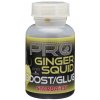 Starbaits Dip Pro Ginger Squid 200ml