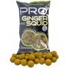 Starbaits Boilies Pro Ginger Squid 800g
