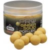 Starbaits POP UP Pro Ginger Squid 50g