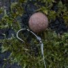 06 A0520001 04 armorok hooks curve barbed ls