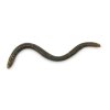 Iron Claw nástraha Drop Stuff Crawler 7,5 cm 22 ks