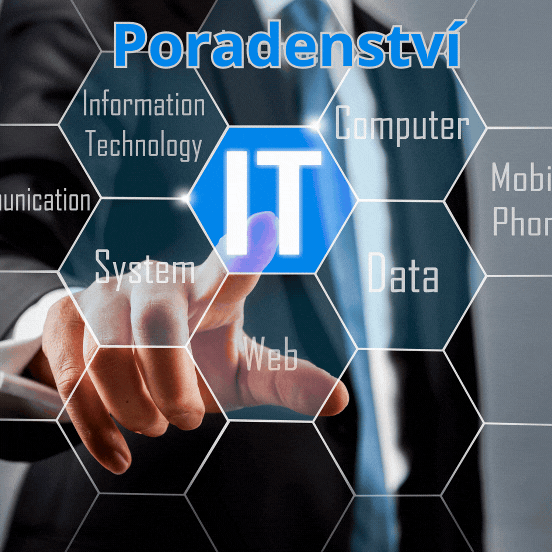 IT poradenství