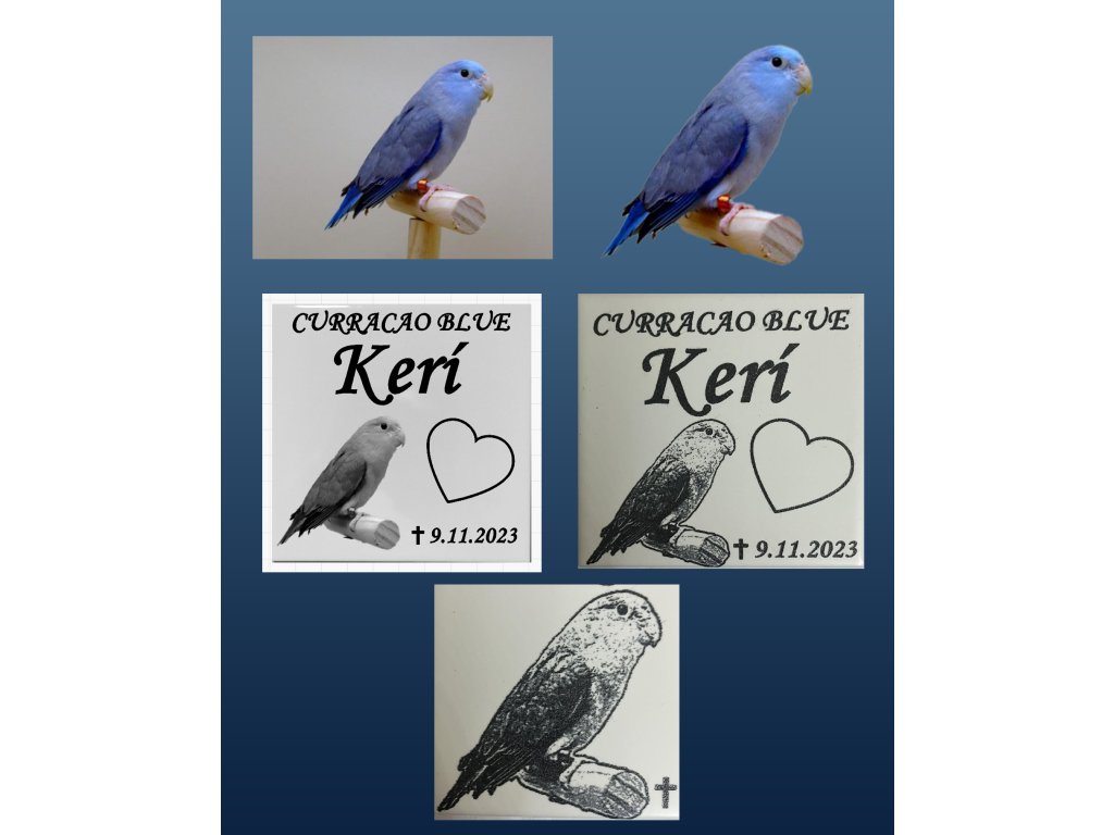 Kruh