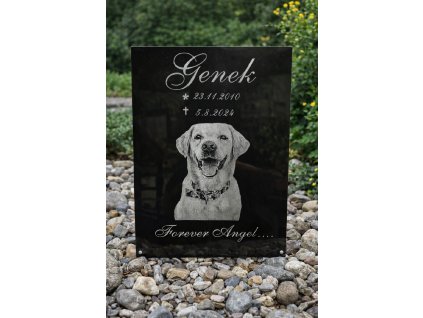 nahrobni deska pro psa
