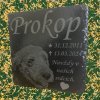 náhrobek pro pejska