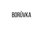 Borůvka