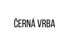 Černá vrba