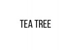 Tea tree