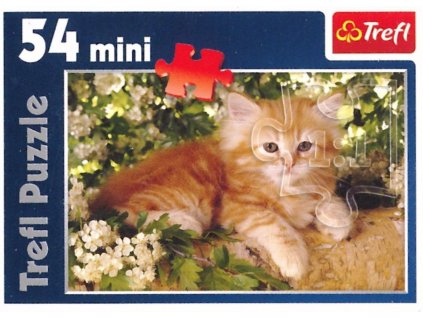PUZZLE MINI TREFL ZRZAVÉ KOTĚ 54 DÍLKŮ