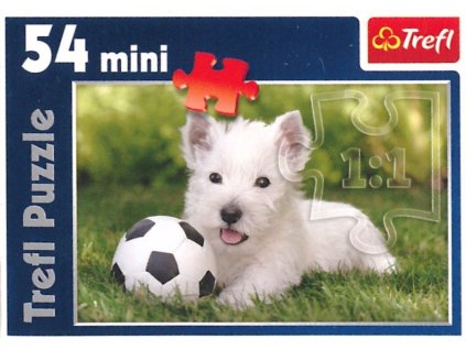 PUZZLE MINI TREFL ŠTĚNĚ A MÍČ 54 DÍLKŮ