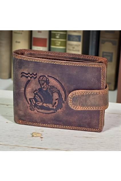 znamenie vodnár (2)