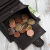 Pánská kožená peněženka Paolo Peruzzi Classic vertikální; hnědá