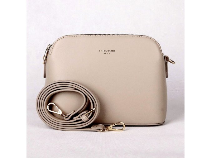 Malá pevná tříoddílová crossbody kabelka David Jones CM6938 šedá