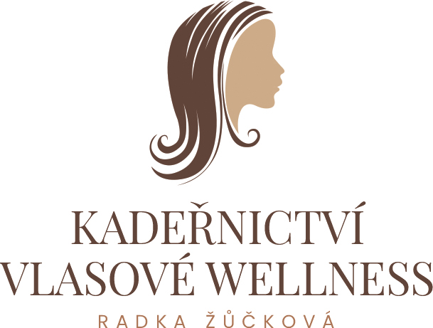 logo-web-SHOPTET-3_1