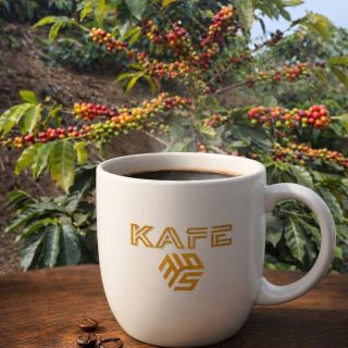 Máme i zrnková kávu z Venezuely, která pochází z malé farmy v nadmořské výšce 1200 m n. m. Zrna se ručně sbírají a...