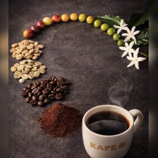 Každý šálek má svůj začátek dávno předtím, než zapnete kávovar.☕️ V květu kávovníku 👉V dozrálém plodu 👉 V zeleném zrnu 👉V...
