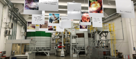 Italské umění pražení kávy: Od plantáže až k vám do šálku