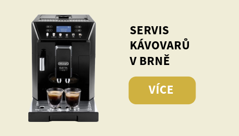 1 SERVIS