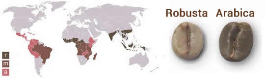 Arabica vs Robusta