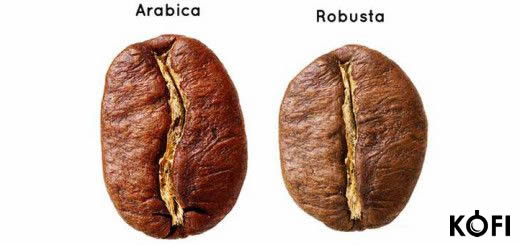 Arabica vs Robusta