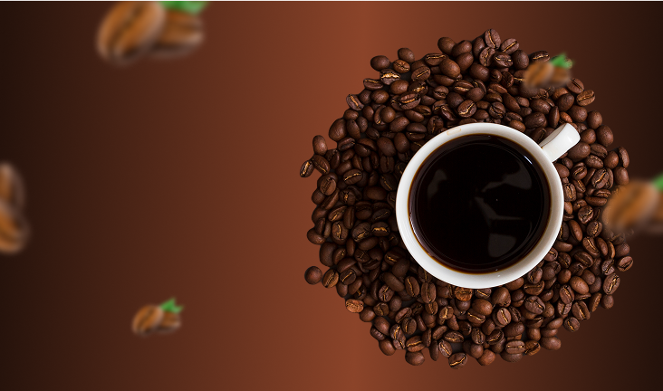 Objevte kvalitní kávu