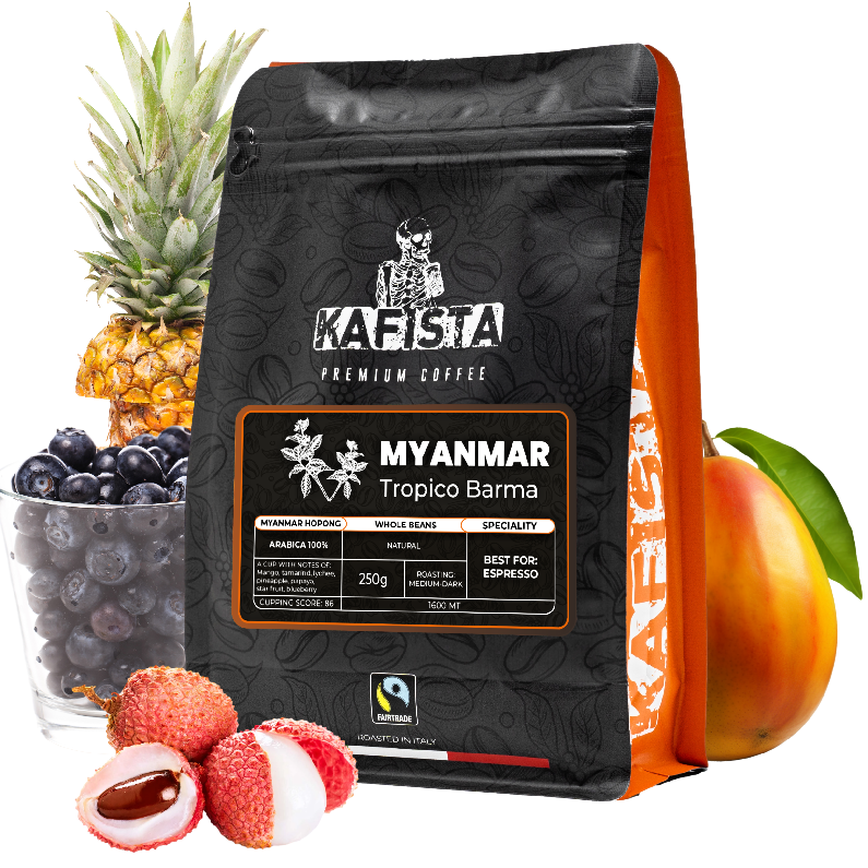 Výběrová káva Kafista "Myanmar Tropico Barma" - 100% Arabica - Praženo v Itálii - ideální pro espresso Množství: 1000g (4x250g)