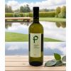 715 2 bile vino pignoletto p doc colli di imola