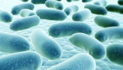 Co dělat, pokud rozbor pitné vody nevyhovuje z hlediska mikrobiologických parametrů