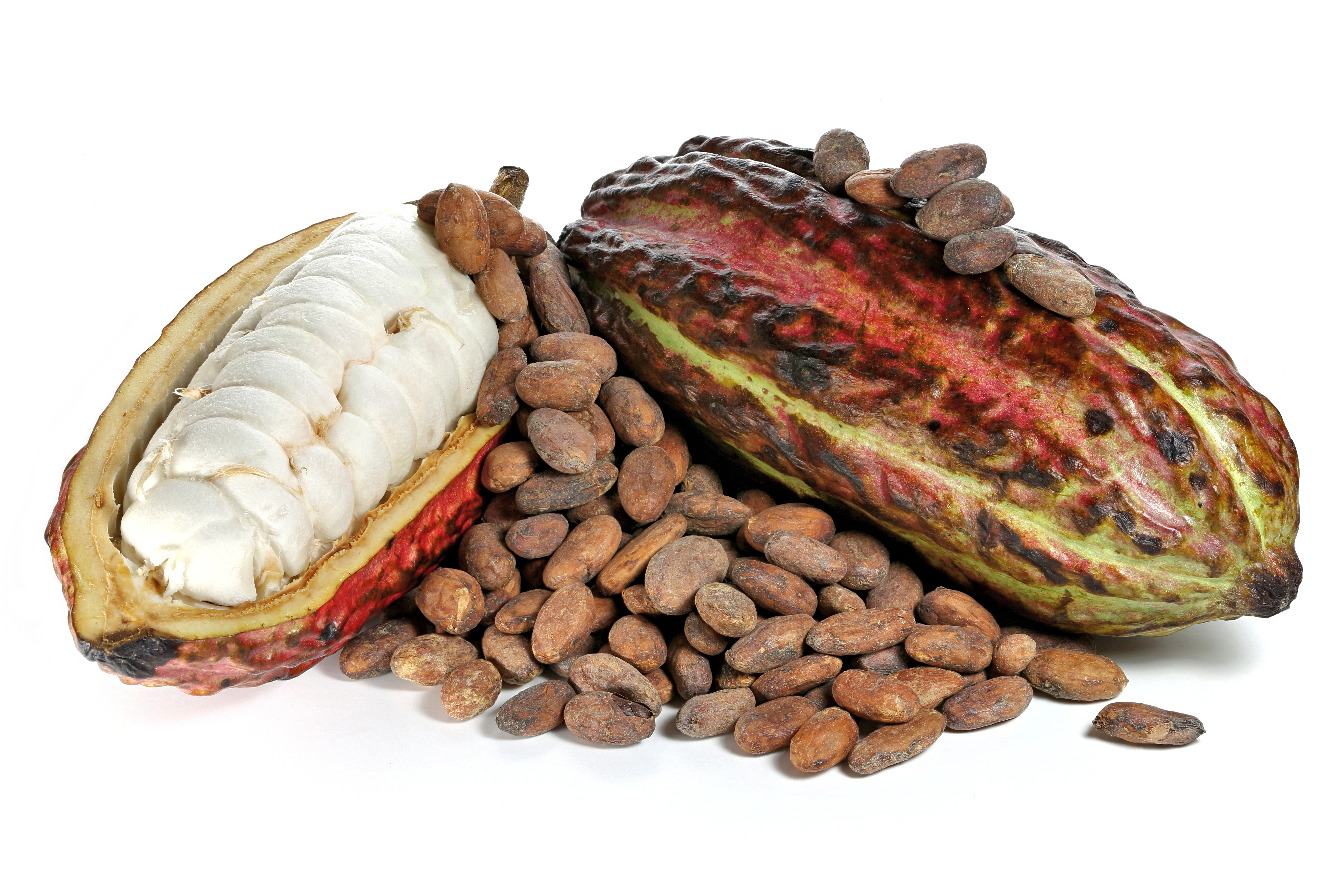 BYLINKY VHODNÉ K PŘÍPRAVĚ CEREMONIÁLNÍHO KAKAA