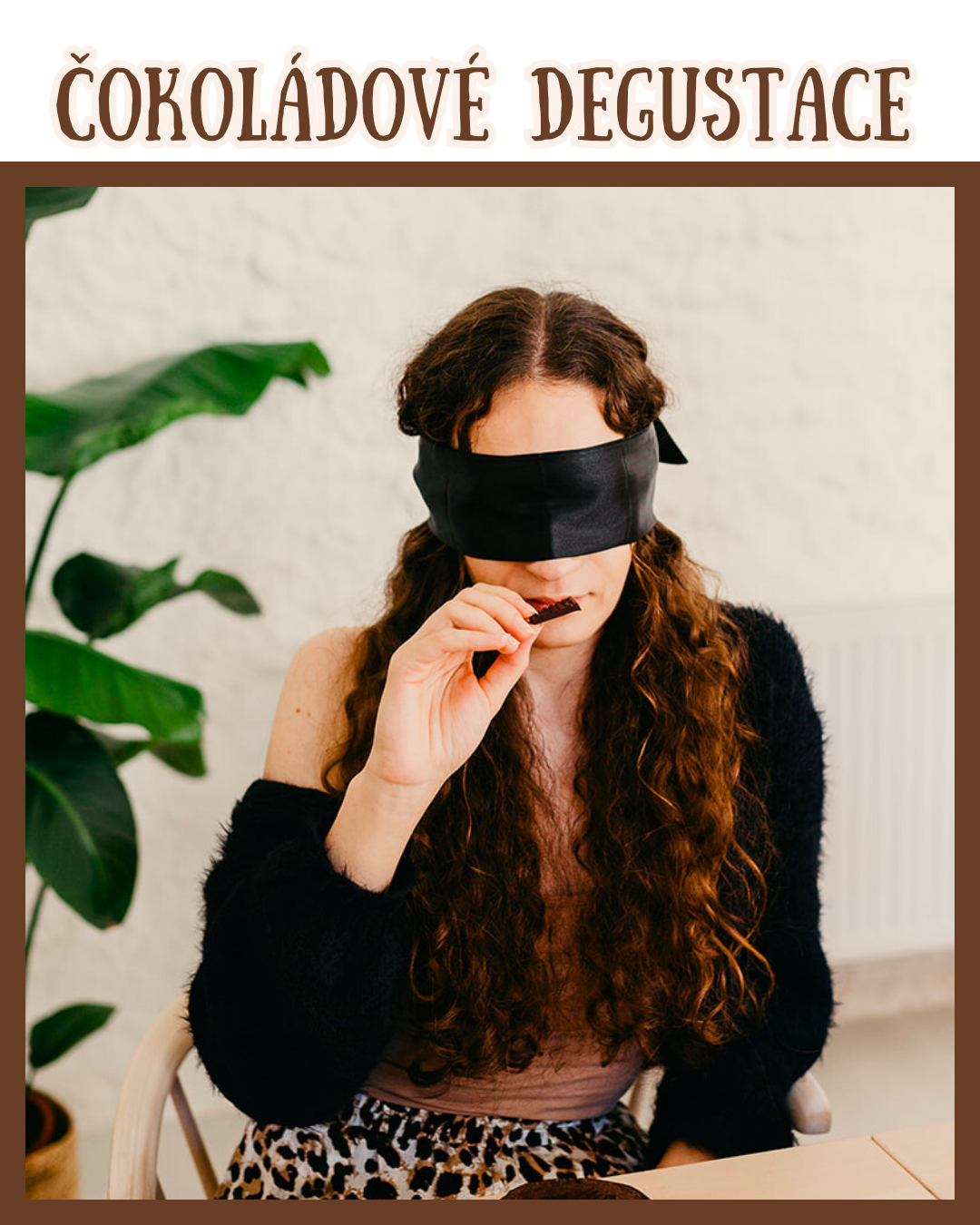 Služby - Čokoládové degustace