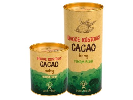 Nepražené kakaové boby – divoce rostoucí