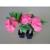 Euphorbia millii cv. New Velvet