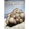 Kniha Copiapoa anglicky